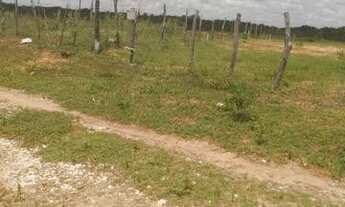 Imagem 7: 4 lotes no planalto 32mil tudo