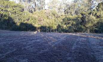 Imagem 2: Porto Alegre - Sítio - Lageado