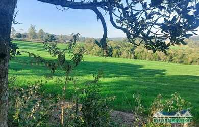 Imagem 6: Fazenda de 58 hectares para soja, Sentinela do Sul, confira!