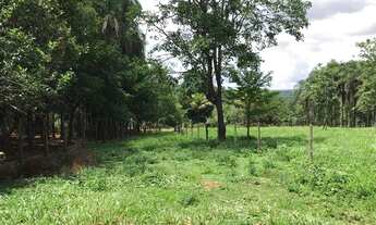 Imagem 7: Chácara 2 alqueires Município de Bela Vista Goias