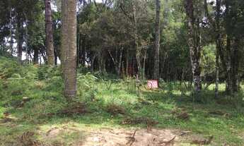 Imagem 6: Terreno no bairro Jardim Mariana em Canela