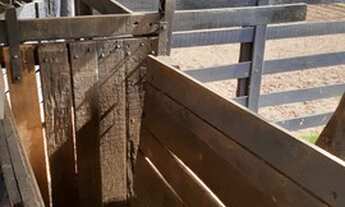 Imagem 3: Fazenda 145 alqueires em Amambai - MS