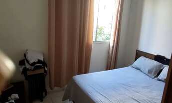 Imagem 4: Guarulhos Pimentas