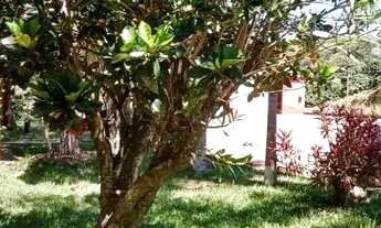 Imagem: Sitio com 2.08 Alqueires com Café em São