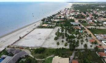 Imagem 3: Vendo 2 Hectares De Terra Frente Mar Por R$42.000,00 O M2 Sai R$2,200,00 n°:Minha casa é m