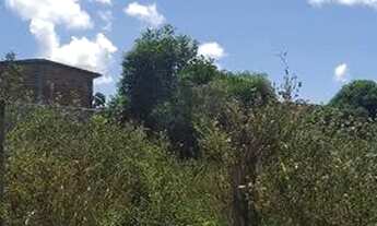 Imagem 4: Vendo terreno com 200m² no Parque das Mangabas em Camaçari