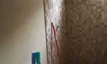 Imagem 4: Casa Casa com 3 dormitórios