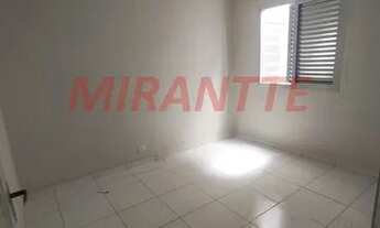 Imagem 3: Lindo apartamento em Vila Maria