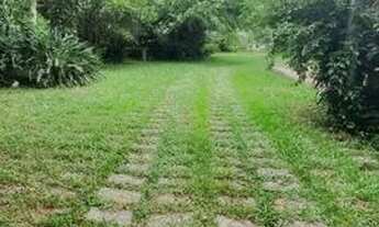 Imagem 3: Sítio para Venda - 200m², 3 dormitórios, sendo 1 suites, 3 vagas - Lageado