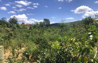 Imagem 6: Chácara 4.000m² ,todo cercada, plana, água, luz, internet, Jaboticatubas