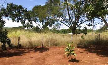 Imagem 5: CHACARA A VENDA EM ABADIANIA GO COM CASA PROXIMO AO FICUS LANCHONETE BR 060