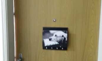 Imagem 7: Amplo/ Ótima localização