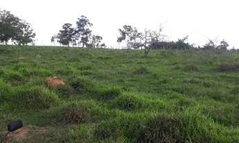 Imagem 4: SÍTIO COM CAFÉ !!!