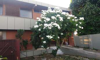 Imagem 3: Casa para venda tem 245 metros quadrados com 4 quartos em Jardim Atlântico - Olinda - PE