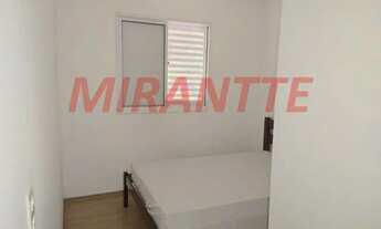 Imagem 7: Lindo apartamento em Vila Rosália