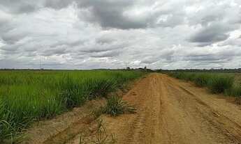 Imagem 3: Fazenda 908 hectares