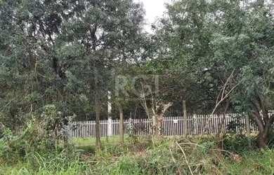 Imagem 2: Terreno para Venda - 0m², 0 dormitórios, Campo Novo