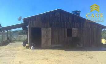 Imagem: Sítio 1100m2 c/galpão rústico próximo