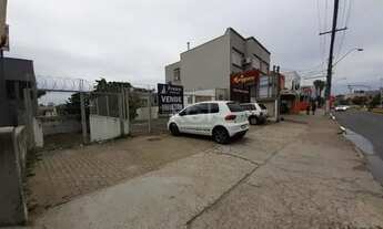 Imagem 5: Terreno para Venda - 0m², 0 dormitórios, Alto Petrópolis