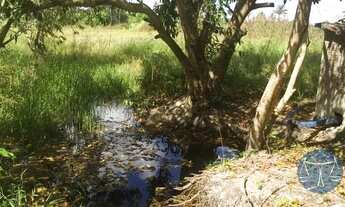 Imagem 4: MONTE ALEGRE - Fazenda - Arena