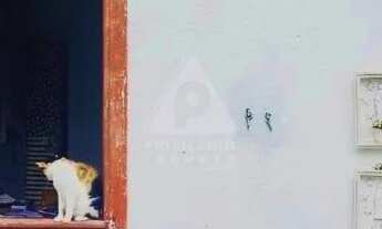 Imagem 4: Casa de rua à venda, 2 quartos, Santa Teresa - RIO DE JANEIRO/RJ