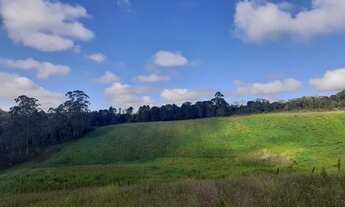 Imagem 3: Lote/Terreno para venda com 500 metros quadrados em Recanto Impla - Carapicuíba - SP