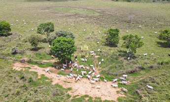 Imagem 6: Fazenda - 360 hectares - 74, 38 Alqueires