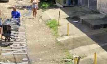 Imagem 5: Casa no totó Casa com 1 dormitório