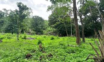 Imagem 7: Vendo uma chácara de 4 alqueire na beira do rio caldas em bonfinopolis