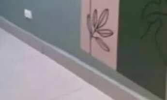 Imagem 7: Casa á venda com 3 quartos sendo 1 suíte no Novos Estados em Campo Grande - MS