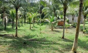 Imagem 4: Lindo Sitio em Balbina Presidente Figueiredo