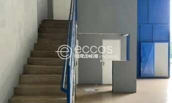 Imagem 6: Galpão para aluguel, Dona Zulmira - Uberlândia/MG