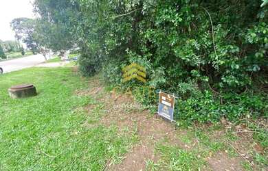 Imagem 3: Imóvel para venda tem 350 metros quadrados em Centro - Viamão - RS