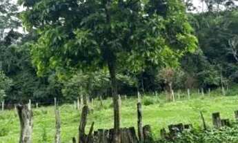 Imagem 5: Ótima chácara Chácara com venda por R$2.000.000