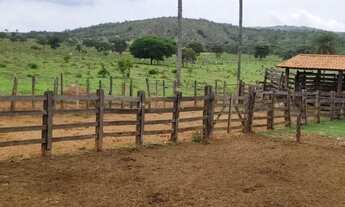 Imagem 3: Fazenda 1.512 há, casa sede e de caseiro, nascentes, com acesso ao rio cipó