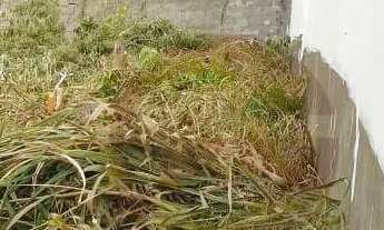 Imagem 4: ?? OPORTUNIDADE IMPERDÍVEL TERRENO À VENDA EM RONILÓPOLIS! ????