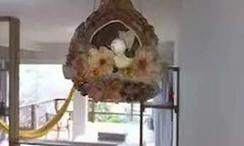 Imagem 5: Apartamento Studio Charmoso em Sambaqui