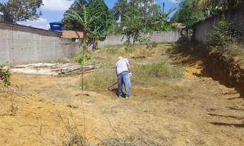 Imagem 3: Terreno plano, murado, rua asfaltada e muito bem localizado