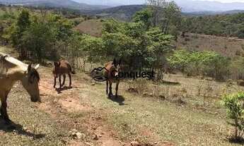 Imagem 3: Vendo Fazenda de 36 hectares com muita agua na Cidade de Moeda