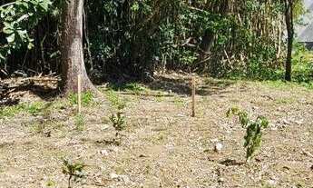 Imagem 4: Terreno à venda, 1435 m² por R$ 1.298.000,00 - Sambaqui - Florianópolis/SC