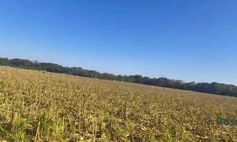 Imagem 4: Fazenda para venda, Rosário Oeste, MT - 630 Hectares