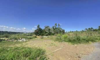 Imagem 6: TERRENO INDUSTRIAL EM BENTO GONÇALVES