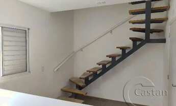 Imagem 3: Apartamento para alugar no jardim avelino