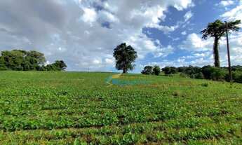 Imagem 5: Sítio à venda, 9 alqueires por R$ 1.400.000 - Linha Santana - Catanduvas/PR