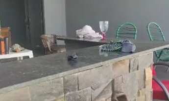 Imagem 7: Casa a venda em serrana