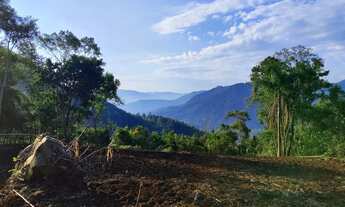 Imagem 2: Sítio / Chácara para Venda em Nova Petrópolis, Arroio Paixão