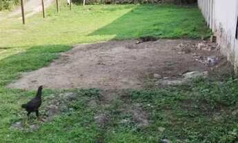 Imagem 6: Terreno para Venda em Laje, Centro