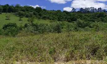 Imagem 7: Ds(terreno a 10minutos da rota do vinho!!