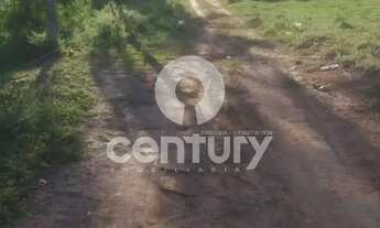 Imagem 2: Terreno a venda na Estrada Três Porquinhos - Aruana