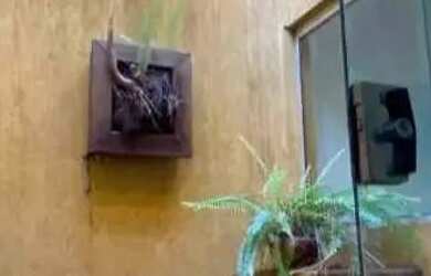 Imagem 3: Térrea para venda com 360 metros quadrados com 3 quartos em Vila Vilas Boas - Campo Grande